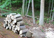 IMG_2335.jpg