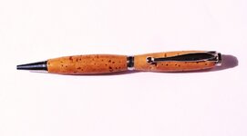 cork pen1.jpg