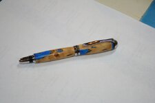 IMG_4704.jpg