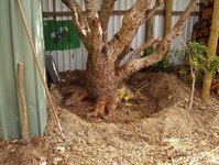timber preparation 054_(1).jpg