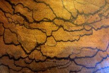 marblewood1.jpg