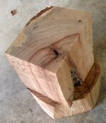 Camphor1.jpg