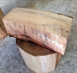 Camphor2.jpg