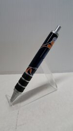 pen pic2.jpg