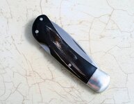 edc-buffalo-horn.jpg