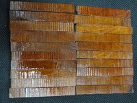 IMG_4237.jpg