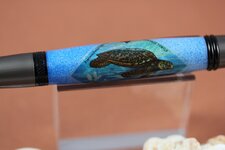 IMG_0770.jpg