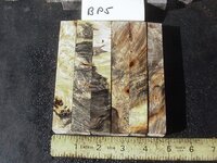 bp5a.JPG bp5a.JPG