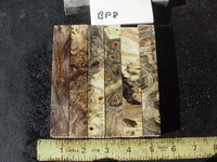 bp8a.JPG bp8a.JPG