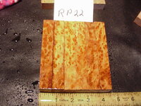 rp22a.JPG rp22a.JPG