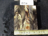 bp14a.JPG bp14a.JPG