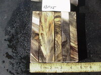 bp15a.JPG bp15a.JPG