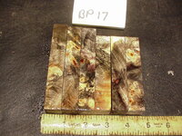 bp17a.JPG bp17a.JPG