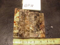 bp18a.JPG bp18a.JPG