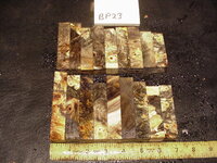 bp23a.JPG bp23a.JPG