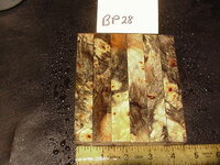 bp28a.JPG bp28a.JPG