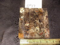 bp27a.JPG bp27a.JPG