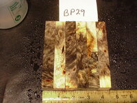 bp29a.JPG bp29a.JPG