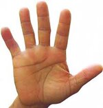 palm.jpg