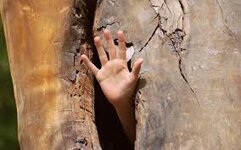 hand-2.jpg