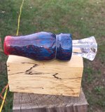 downloadfile-2(1).jpeg