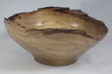 nebowl1.jpg