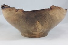 nebowl2.jpg
