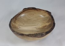 nebowl3.jpg