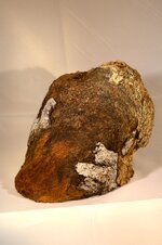 Unkown Burl.jpg
