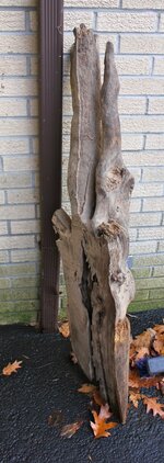 IMG_2453.jpg