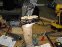 IMG_2210.jpg