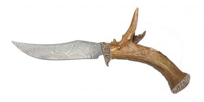Beast1.jpg