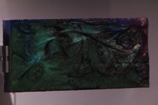 IMG_9582.jpg