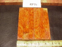 rp31a.JPG rp31a.JPG