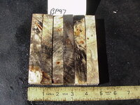 bp97a.JPG bp97a.JPG
