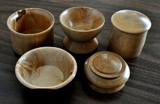 Vessels small.JPG