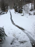 uphill view 1-22-16.jpg