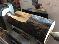 Walnut log.jpg