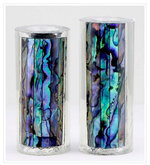 abalone.jpg