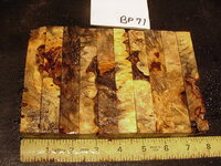 bp71a.JPG bp71a.JPG
