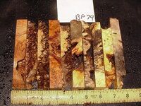 bp74a.JPG bp74a.JPG