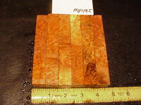 mp195a.JPG mp195a.JPG