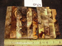 bp69a.JPG bp69a.JPG