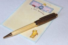 1stPen_.jpg