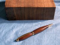 pen 10_960.JPG