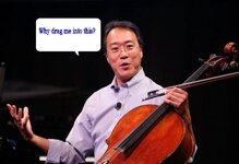 YOYOMOMMA.jpg