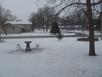 IMG_1438.jpg