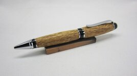 pen 16a.jpg