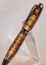 pen 23a.jpg