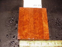 rp39a.JPG rp39a.JPG